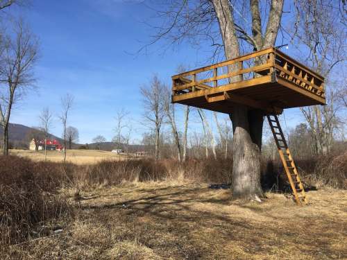 A wooden treehouse perched in a tree, with a ladder leading up, surrounded by bare trees and open fields.