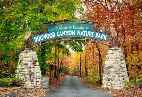 A stone archway welcomes visitors to Dogwood Canyon Nature Park, surrounded by vibrant autumn foliage.