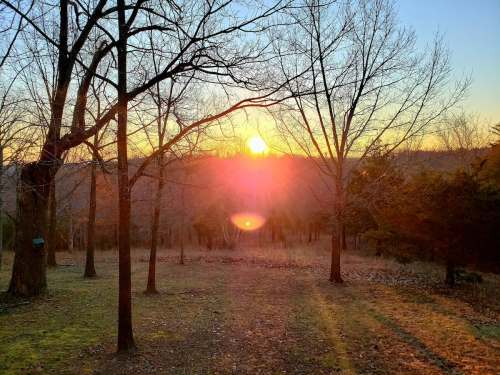 A serene landscape at sunset, with trees silhouetted against a vibrant orange and yellow sky.