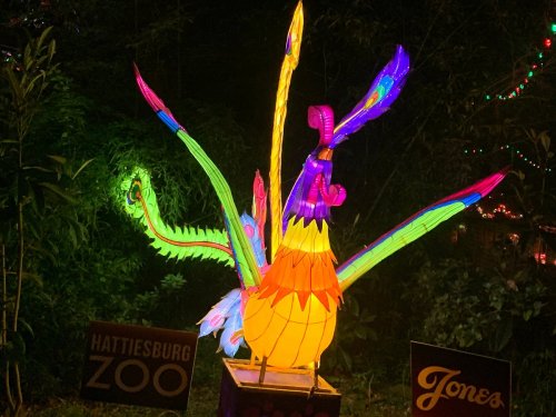 Colorful illuminated sculpture of a bird surrounded by vibrant foliage, displayed at Hattiesburg Zoo.