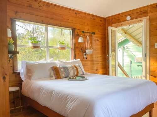 Cozy bedroom with wooden walls, a large bed, and plants hanging by the window, creating a warm, inviting atmosphere.