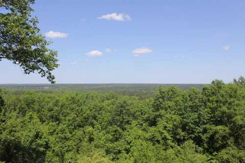 A panoramic view of lush green trees under a clear blue sky with a few scattered clouds.