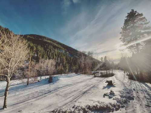 A snowy landscape with trees and a mountain under a clear blue sky, illuminated by sunlight.
