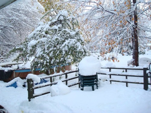 A snowy landscape with a tree covered in snow, a fence, and stacked chairs, creating a winter scene.
