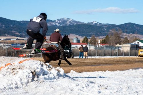 A skier jumps off a snow mound while being pulled by a horse, with spectators and mountains in the background.