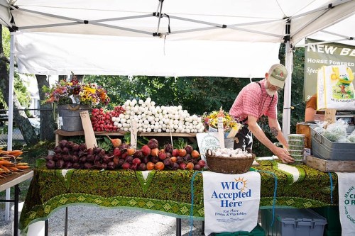 A farmer arranges fresh produce at a market stall, featuring colorful vegetables and flowers under a tent.