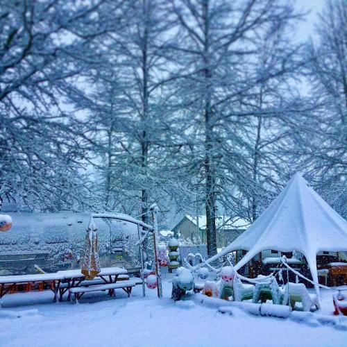 A snowy landscape featuring a tent, picnic tables, and trees blanketed in fresh snow.