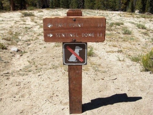 Wooden signpost with directions to Taft Point and Sentinel Dome, featuring a no pets symbol below.