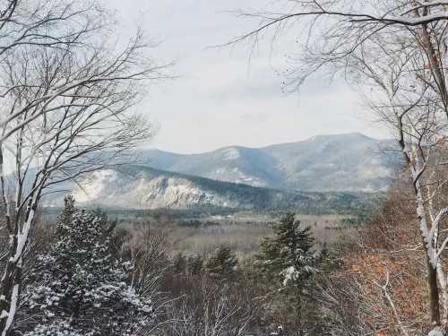 Snow-covered mountains rise in the background, framed by bare trees and a serene valley below.