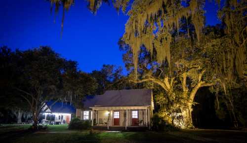 A charming house at night, illuminated by warm lights, surrounded by trees draped in Spanish moss under a deep blue sky.