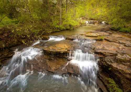 A serene stream flows over rocky terrain, surrounded by lush green trees and foliage.