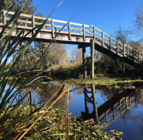 A wooden bridge spans a calm waterway, surrounded by lush greenery and a clear blue sky. Reflections are visible in the water.