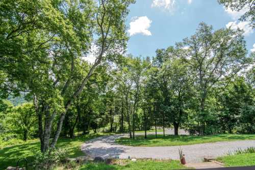 A scenic view of a lush green landscape with trees and a winding gravel path under a bright blue sky.