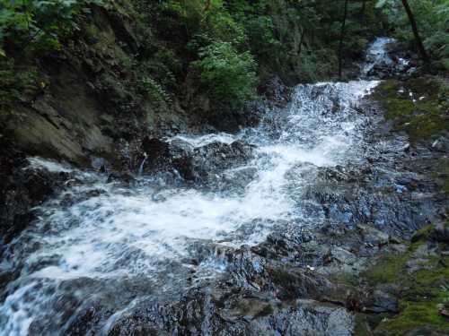 A flowing stream cascades over rocky terrain, surrounded by lush greenery and trees.