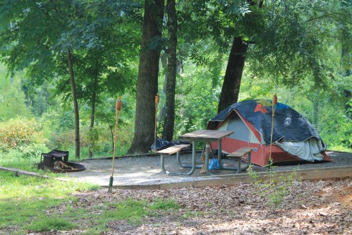 A campsite with a red and gray tent, picnic table, and fire pit surrounded by trees and greenery.