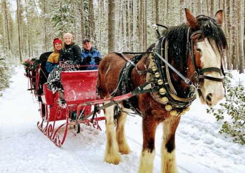 A horse-drawn sleigh carries three people through a snowy forest, surrounded by tall trees.