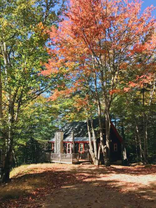 A cozy cabin surrounded by vibrant autumn trees with red and orange leaves on a sunny day.