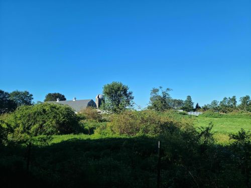 A serene landscape featuring a barn surrounded by lush greenery and trees under a clear blue sky.