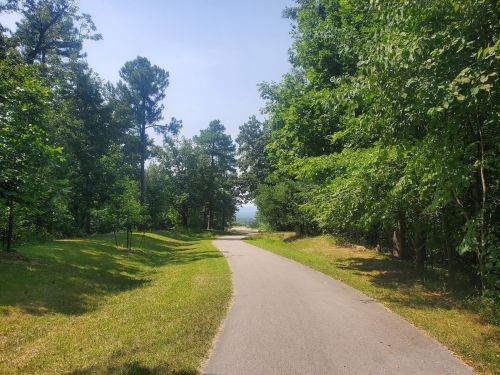 A winding path through lush green trees on a sunny day, leading to a distant view.