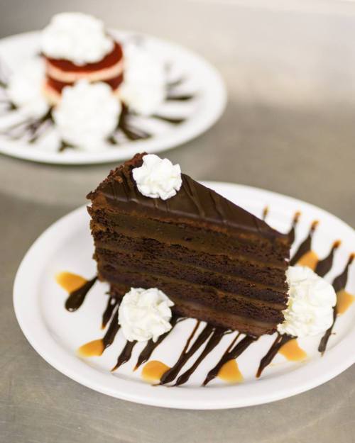 A slice of chocolate cake with whipped cream and chocolate drizzle, served on a white plate.