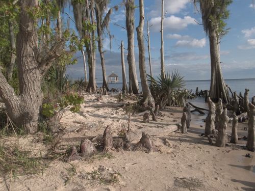 A serene beach scene with trees, sandy shore, and a distant structure on the water under a partly cloudy sky.