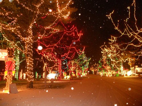 A snowy street lined with colorful holiday lights on trees, creating a festive nighttime atmosphere.