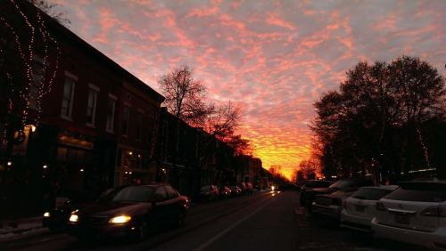 Sunset over a street lined with trees and buildings, with vibrant orange and pink clouds filling the sky.