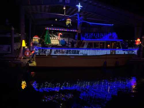 A brightly lit boat decorated with colorful lights, docked at night in a marina.