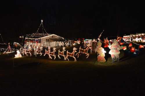 A festive display of Christmas lights featuring reindeer, Santa, and a decorated house at night.