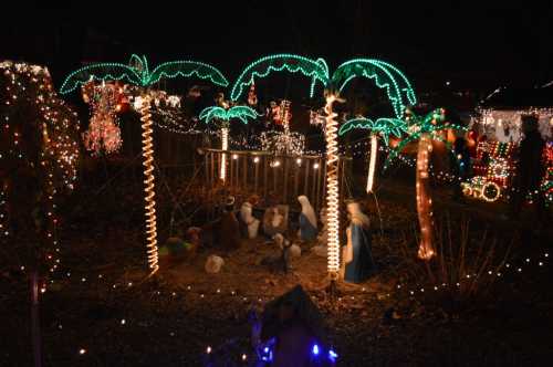 Colorful Christmas lights illuminate palm trees and a nativity scene in a festive nighttime display.