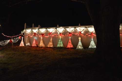 Colorful Christmas trees made of lights are displayed on a fence, surrounded by festive decorations at night.