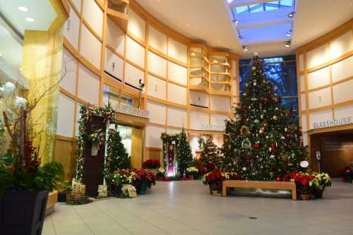 A festive lobby decorated for Christmas, featuring a large tree and various holiday decorations.