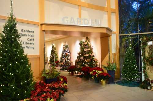 Entrance to a festive garden area with decorated Christmas trees and poinsettias, illuminated by soft lights.