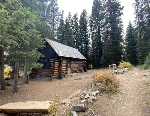 A rustic log cabin surrounded by tall trees and a gravel path, set in a serene forest landscape.
