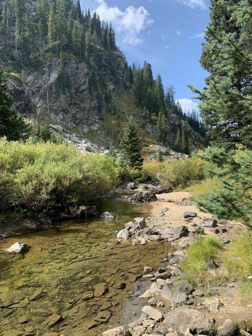 A serene landscape featuring a clear stream surrounded by lush greenery and rocky terrain under a blue sky.