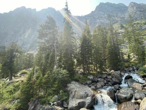 A serene mountain landscape with tall trees, a flowing stream, and rocky terrain under a clear blue sky.