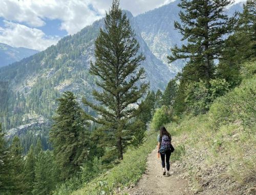 A person walks along a trail surrounded by lush green trees and mountains under a partly cloudy sky.