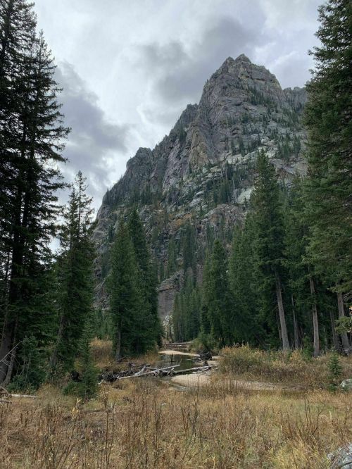 A towering mountain rises above a forested landscape, with a creek winding through tall trees under a cloudy sky.