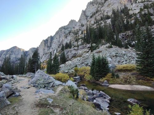 A scenic mountain landscape with rocky terrain, tall trees, and a clear stream flowing through the valley.