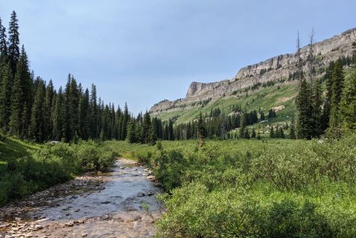 A serene landscape featuring a stream flowing through lush greenery, with mountains in the background under a clear sky.