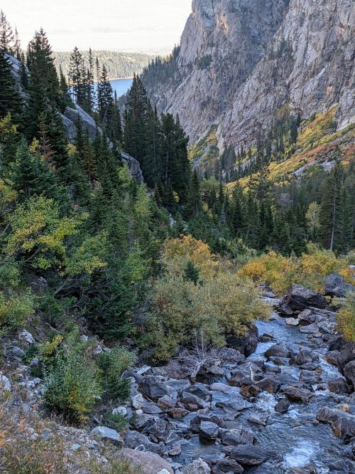 A scenic view of a rocky stream flowing through a forested valley, surrounded by steep mountains and autumn foliage.