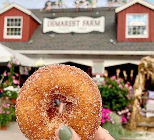 A hand holds a cinnamon sugar donut in front of a red barn with flowers and decorations.