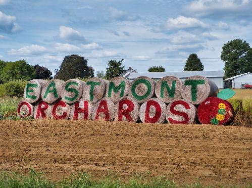 Bales of hay painted with "EASTMONT ORCHARDS" and a colorful apple design in a rural landscape.