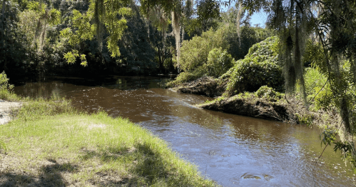 A serene river flows through a lush, green landscape with trees and moss hanging overhead.