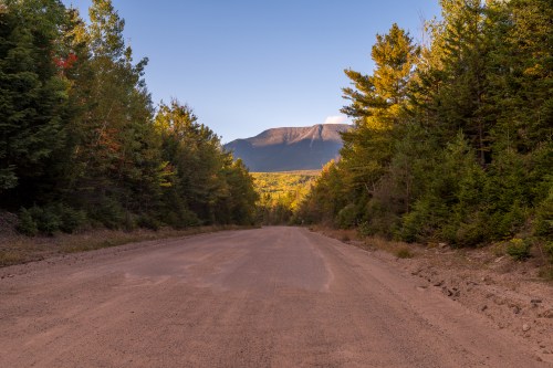 A dirt road stretches through a forest, leading to a mountain under a clear blue sky.