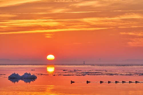A vibrant sunset over a calm lake, with ice formations and silhouettes of ducks swimming in the foreground.