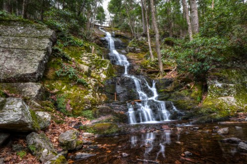 A serene waterfall cascades over moss-covered rocks, surrounded by lush greenery and fallen leaves.