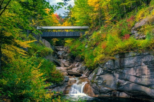 A scenic view of a bridge over a rocky stream, surrounded by vibrant autumn foliage and lush greenery.