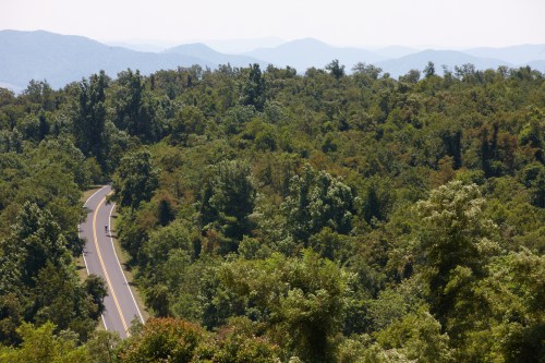 A winding road cuts through lush green trees, with distant mountains visible under a clear sky.