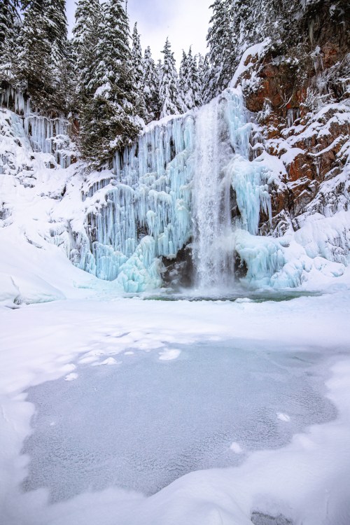 A frozen waterfall surrounded by icy cliffs and snow-covered trees, with a frozen pool in the foreground.